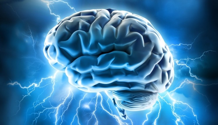Vitamin E tocotrienols show brain health benefits