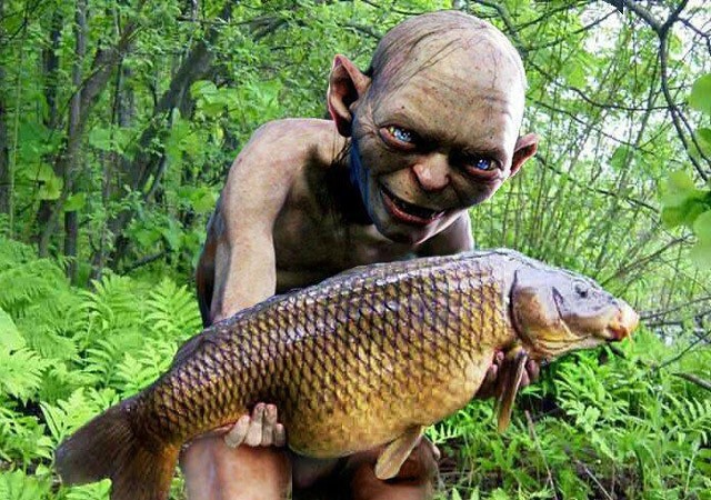 "We wantsss it but does we getsss it?" Scientists suggest Gollum did not get all the vitamin D he needed despite occasional fish consumption
