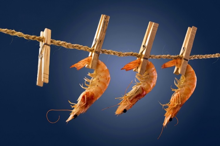 Shrimp waste: A cheap solution for sourcing natural astaxanthin?