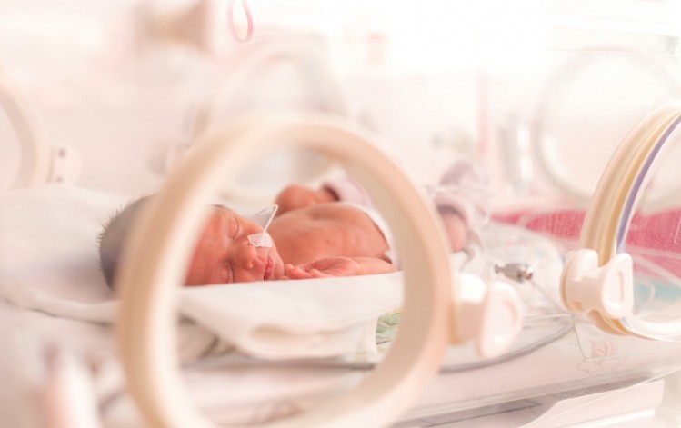 Results could provide insights into the care of vulnerable, premature infants that cannot get optimum nutrition from breast milk alone. ©iStock/Ondrooo