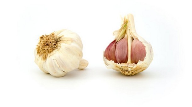 Sprouting garlic packed with heart-healthy antioxidants, say researchers