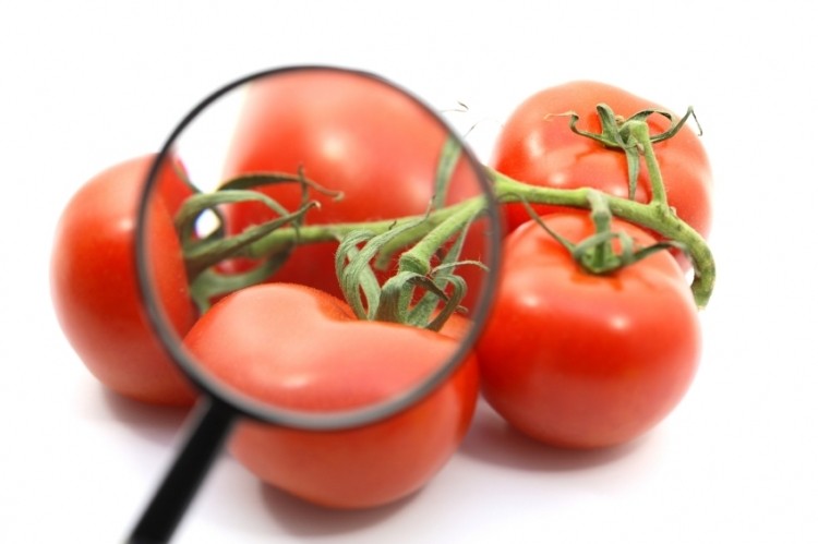 The powerful antioxidant is reported to be produced by certain tomatoes when under stressful conditions