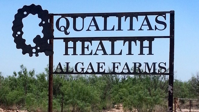 The first industrial-scale harvest from its US facility in West Texas will see Israeli firm Qualitas Health begin commercialisation of its EPA-rich algae oil.