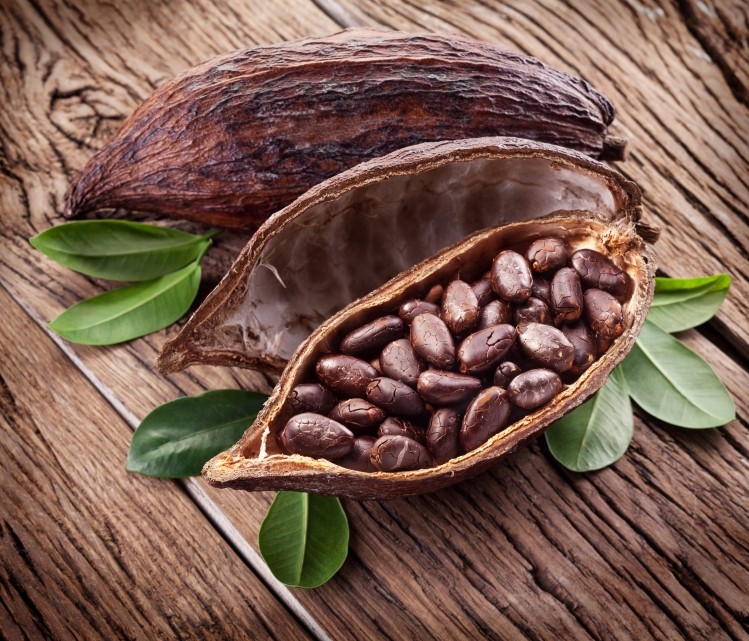 Barry Callebaut: “We will supply the beans and claims and our co-manufacturer can take care of the extraction and global distribution."