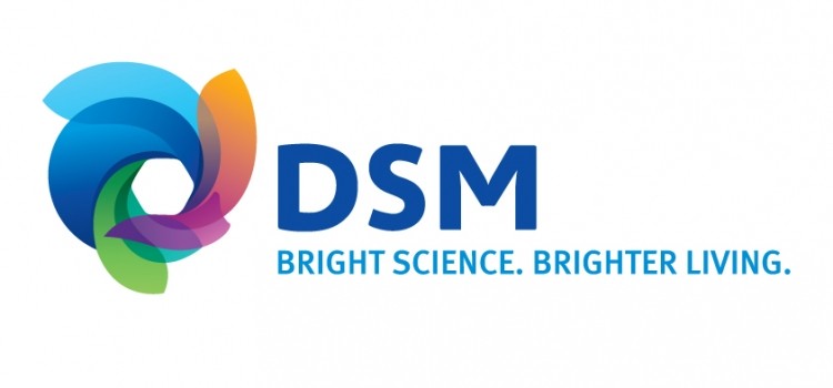 DSM appeared on the list for the third consecutive year.