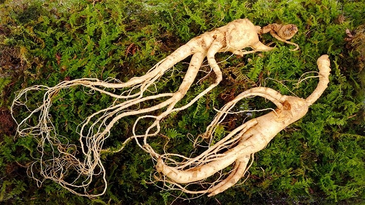 Health supplements containing ginseng sold in South Korea can now make the claim of improving bone health. ©Getty Images 
