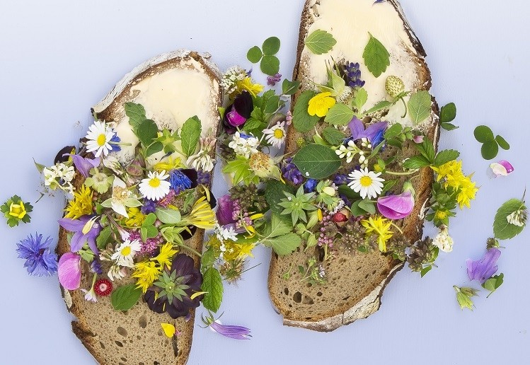 Toast with edible flower petals, some of which are borage and centaurea, the subject of a phytochemical analysis published recently in the journal Food Research International. Getty Images / Ulrike Brusch