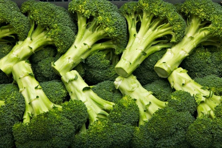 Mouse data backs broccoli for better gut health