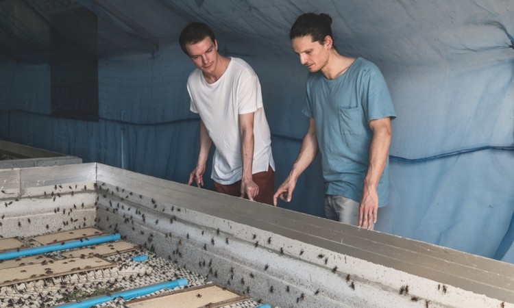 The co-founders at an insect farm