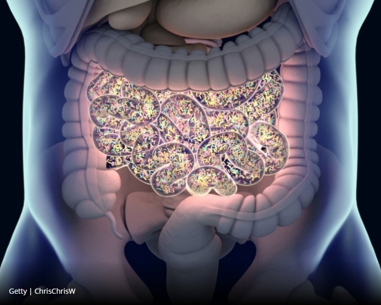 Gut bug found to secrete cancer-promoting chemical: Study  