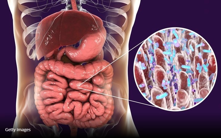 Microbiome maintenance: Good gut health could tackle COVID-19 