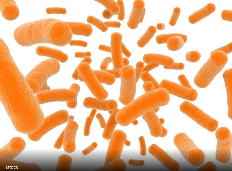 Winclove Probiotics on target for Net Zero by 2030