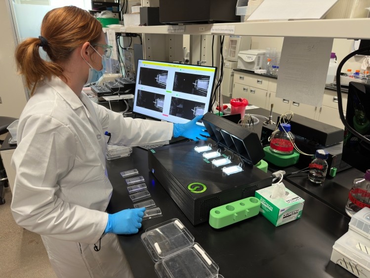 Gut health 'pioneer' to showcase large-scale nematode screening platform at Probiota