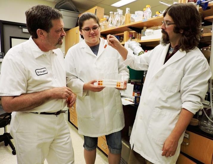 Researchers Gregory Ziegler (left) and Joshua Lambert (right) along with Rachel Shegog, a food science graduate student, examine liquid extracted from avocado seeds.