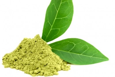Easy being green? Tea leads botanical antioxidant charge