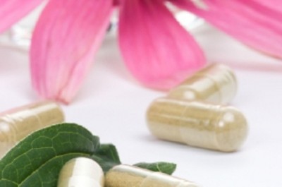 UK medicines regulator slams door on herbal food supplements