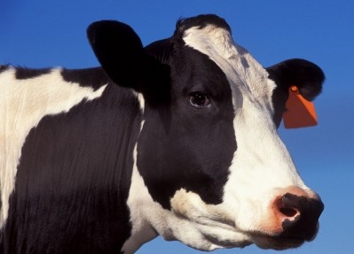 Flaxseed-fed cows produce omega-3-rich milk, US researchers claim