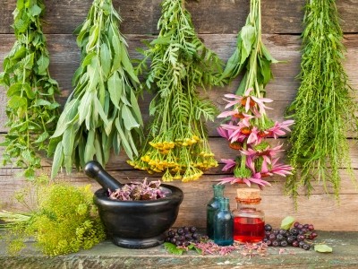 Botanicals have been the subject of numerous studies, all eager to add scientific credence to their reported health benefits.  ©iStock/ChamilleWhite