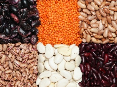 A combination of protein and fibre means beans match high-protein beef for satiety - but consumer's don't expect to feel fuller.