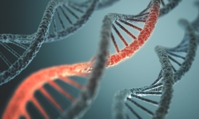 Nutrigenetics and nutrigenomics hold much promise for providing better nutritional advice to genetic subgroups, individuals and the consumer. (© iStock.com)