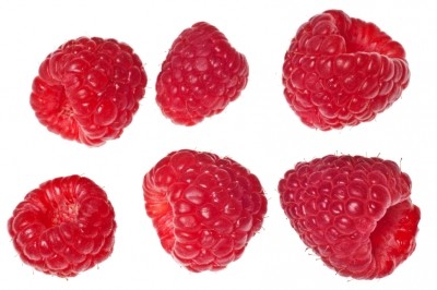 Forza: "The raspberry ketone issue is difficult for the authorities to monitor as certain extracts will be novel and illegal while others will be in keeping with the regulation."