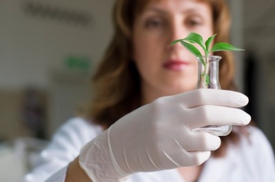 "More experts on plants and plant preparations are needed, especially ones with a strong understanding of plant chemistry, of analytical methods, and belonging to a relatively younger generation." © iStock.com / mtr