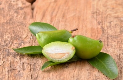 Garcinia cambogia, also known as Malabar tamarind, is a plant native to Southeast Asia and  is increasingly popular as a weight loss ingredient for supplements in developed countries.