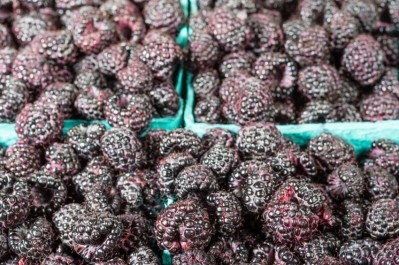 Black raspberry has long been used in traditional alternative medicine in Korea because of its potential to improve vascular function. © iStock.com / jatrax