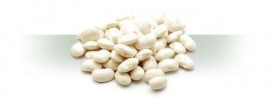 InQpharm Europe to appeal white kidney bean-weight loss rejection