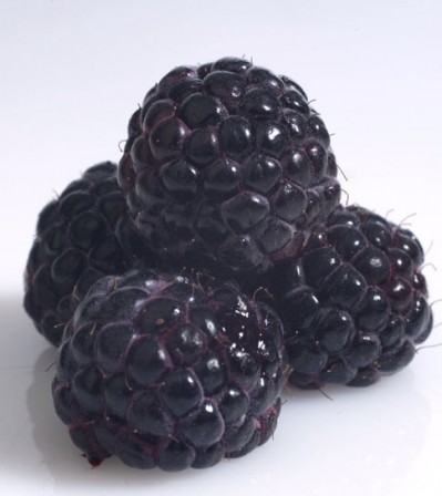 Black raspberries: latest superfruit or super fad?