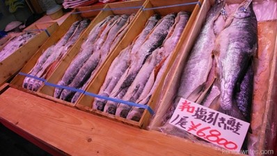 World’s only salmon placenta taps into Asia’s halal anti-ageing market