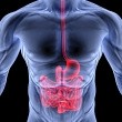 IPA questions scope of conclusions of study that found no effect of probiotics on diarrhea