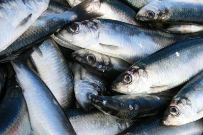 Omega-3-rich fish intake during pregnancy may boost birth weight for babies: European data
