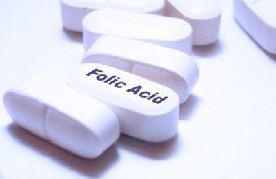 Folic acid intake may modify obesity risk in infants: Rat study