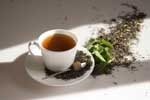 Catechin-enriched green tea shows fat busting potential: RCT