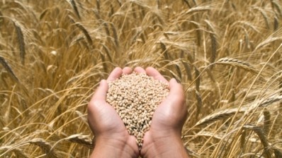 Heart healthy grains: More whole grain equals lower mortality, say researchers