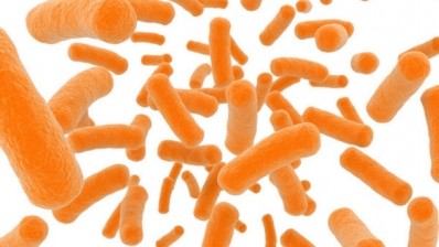 The 'upgraded' bacteria produces enough vitamin B12 to enable EFSA claims, and could pave the way for further probiotic claims, says Winclove. 