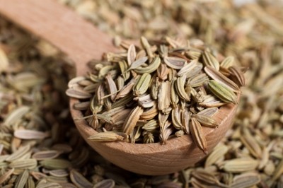 PlantLIBRA on fennel supplement consumption