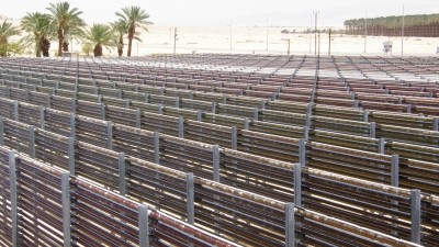 Based in southern Israel, Algatechnologies have developed new strategies that will increase the shelf life of their AstaPure astaxanthin product.
