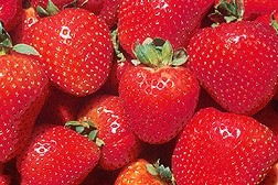 Strawberry extracts as good as the whole food, suggests study