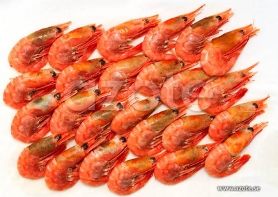 Prawn peptides are ACE for blood pressure: Rat study