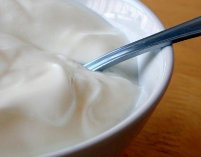 Could casein protein be "the best fit" for dairy products such as yogurt? 