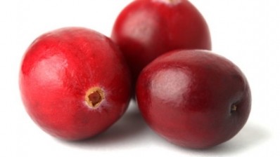 Cranberry UTI mechanism mooted as study suggests medical devices role