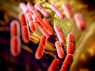 Around two per cent of a person's body weight is linked to bacteria, the researchers said. (© iStock.com) 