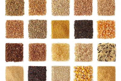 In vitro antioxidant activity of wholegrain cereals is not a reflection of in vivo potential, review says