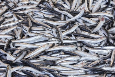 With a strong El Nino decimating stocks, Peru shuts down omega-3 anchovy fishery