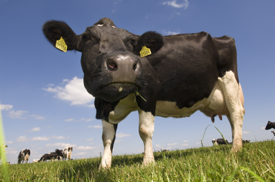 Arla has been hit by changing global milk prices