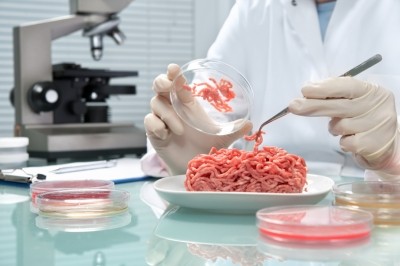 If it’s natural, it’s good…but what's natural? A case study in cultured meat, E numbers and plant extracts