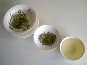 Green tea EGCG may prevent plaque formation in Alzheimer's disease