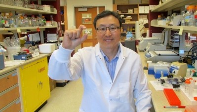 Sunwoo hopes the supplement, derived from chicken egg yolks, will soon improve quality of life for people with celiac disease. (Credit: University of Alberta).